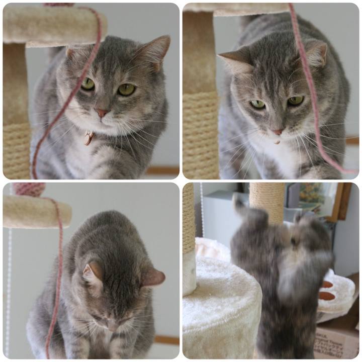 E66a9333 eed1 45d1 9e23 d86ec41aaeb2 1562229108842