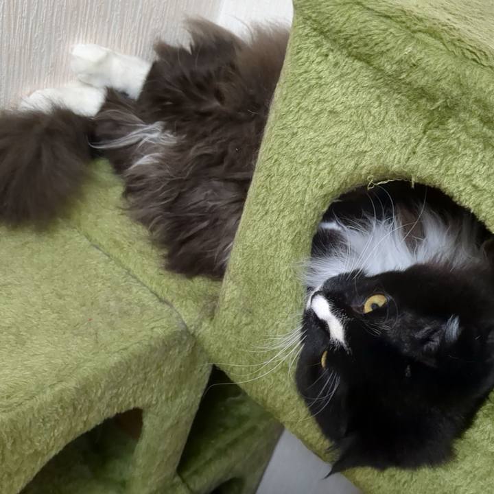 E66aaff2 72af 4d4f b3ba ac17d079e22a 1668563670622