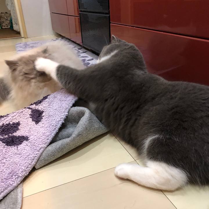 E66ad48d 8ea7 4293 be0e 2152d0684d31 1551656859267