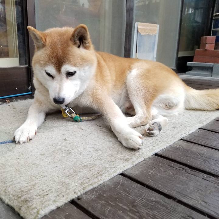 E66adb7a 3737 4829 a99f f77e4802d2fc 1630740510240