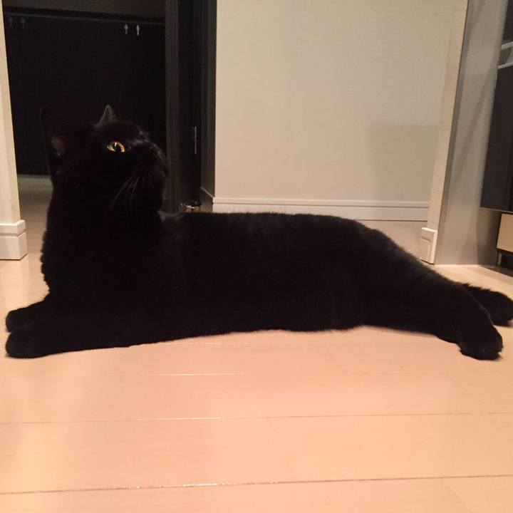 E66adfbb 533d 4df2 8ce4 385cbd8c7438 1569074727899