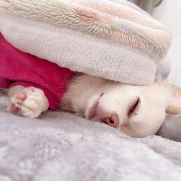 E66b0b36 6820 41e2 9dd4 abde76ae5421 1741338286907