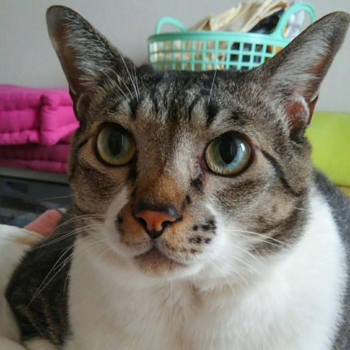 E66b659b 974a 41bd ac83 0d3d80e782a6 1508194299742