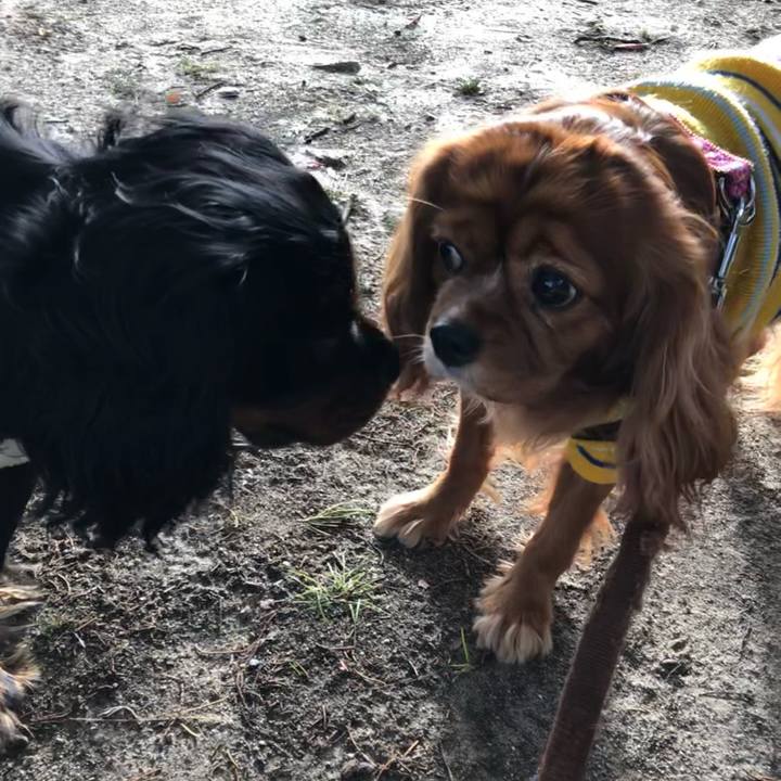 E66b6e21 4105 4fa4 8d3f ce18666e23ae 1638672211879