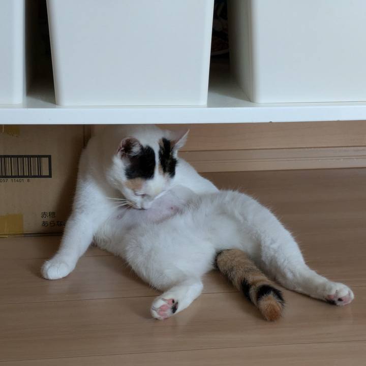 E66b6e44 7443 4ca7 b460 5395321e9558 1726712882113