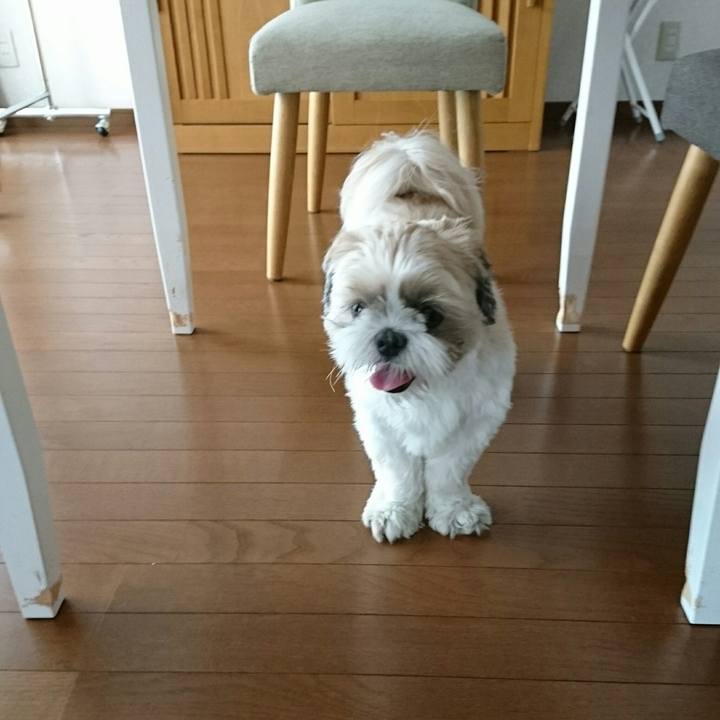 E66b7e78 9af8 4441 9c9d 71afd2b9951e 1528937635408