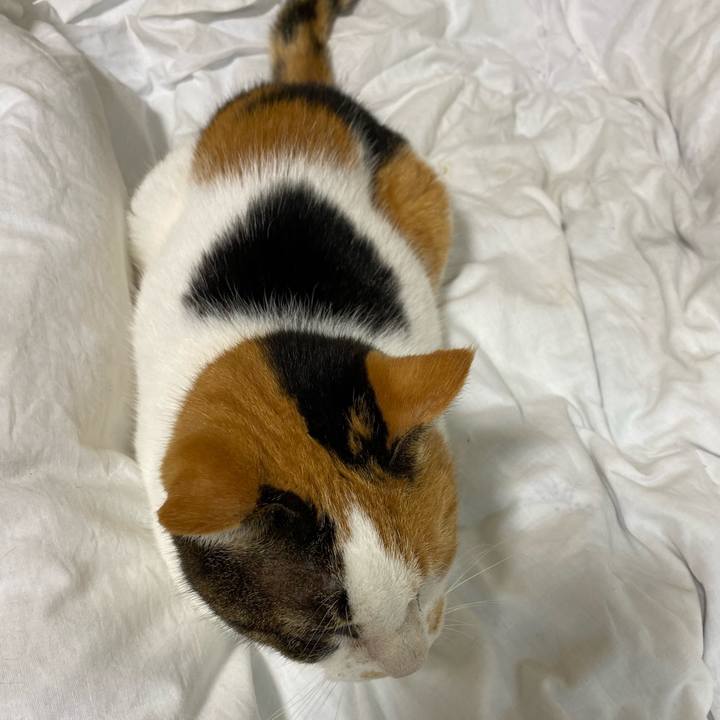 E66b9b4f 592f 4bb3 b4e4 67ac006f48b0 1571753669787