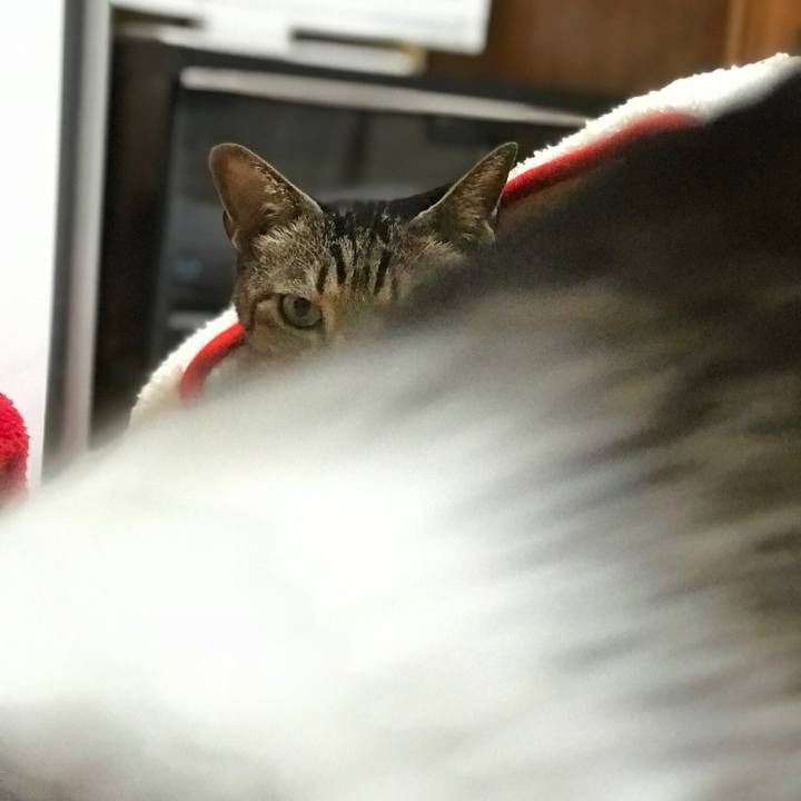 E66bdc19 94a2 4e47 aa7d eb70f16d58bd 1519522083991