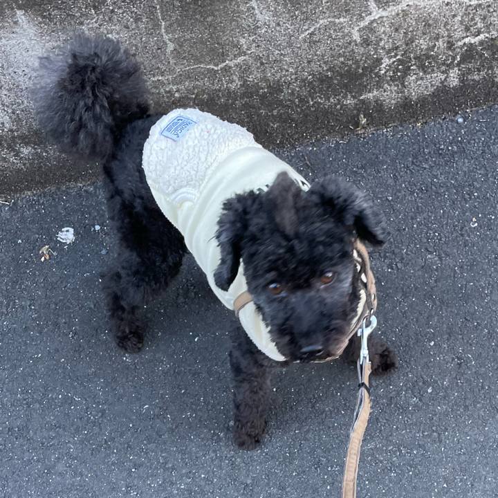 E66bdda3 5363 4ed6 85ea 5bf593f5c47b 1673149452125