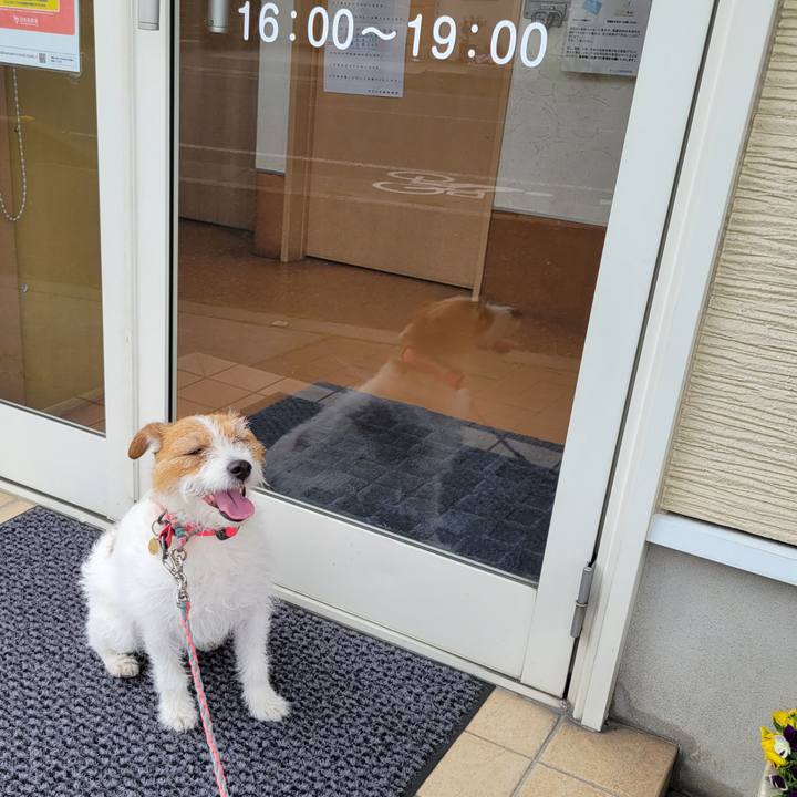 E66c104b ae1a 440a 97dd d20c2fe0f5e8 1680419490253