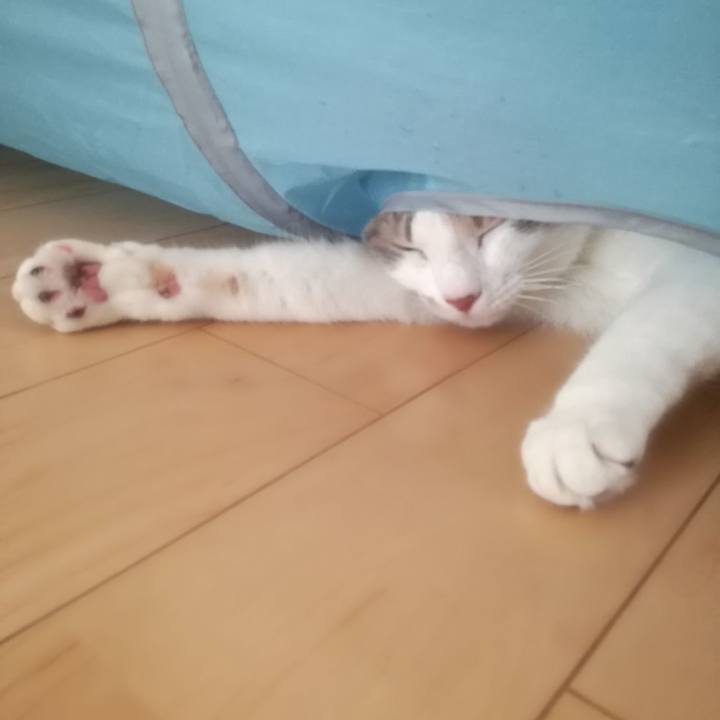 E66c1a4f 0fa2 4ca4 9758 7539e5421af6 1519549395520