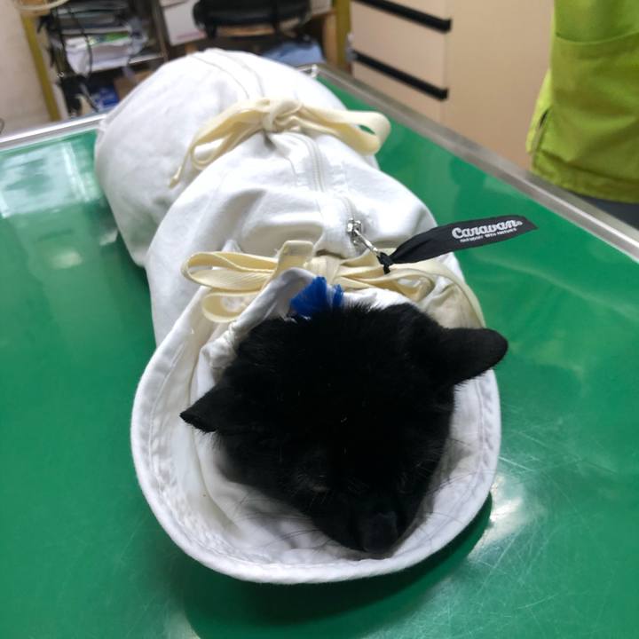 E66c25cb 1eb8 4ad7 891e cfa1b367c129 1595253300555