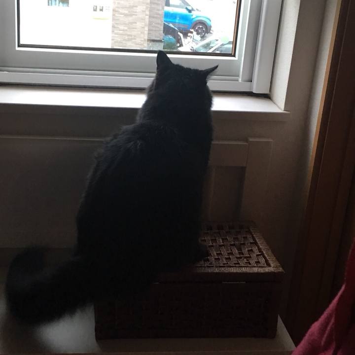 E66c3791 f560 42f8 98db 9bf27409e7e1 1531638920711