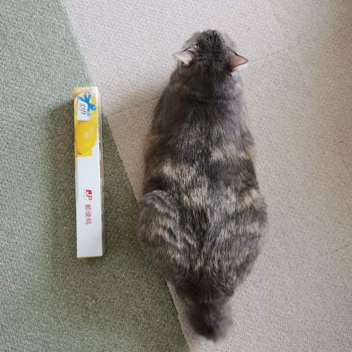 E66c5543 82e7 4872 a214 2a6f6ff2c12b 1678522115796