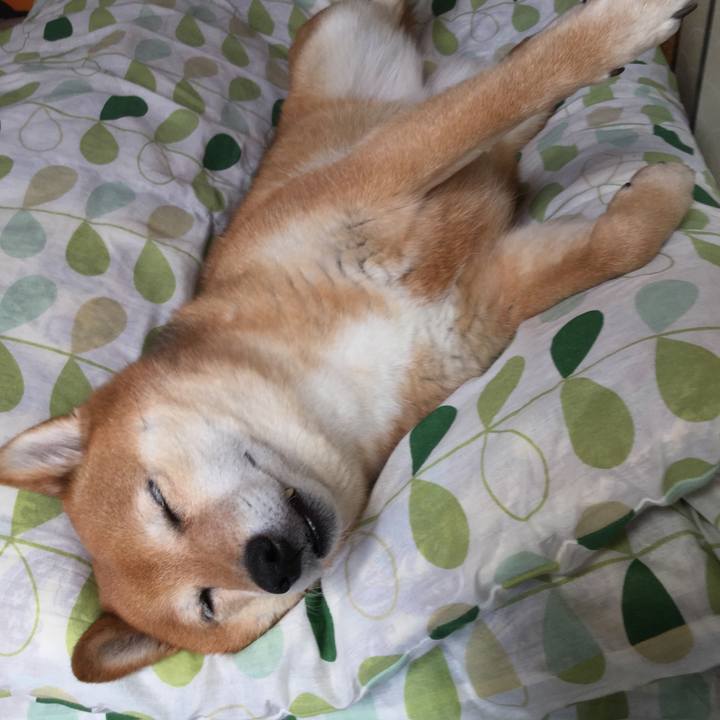 E66c7b80 1c72 4b9f a119 d0ffe88db38d 1556516473933