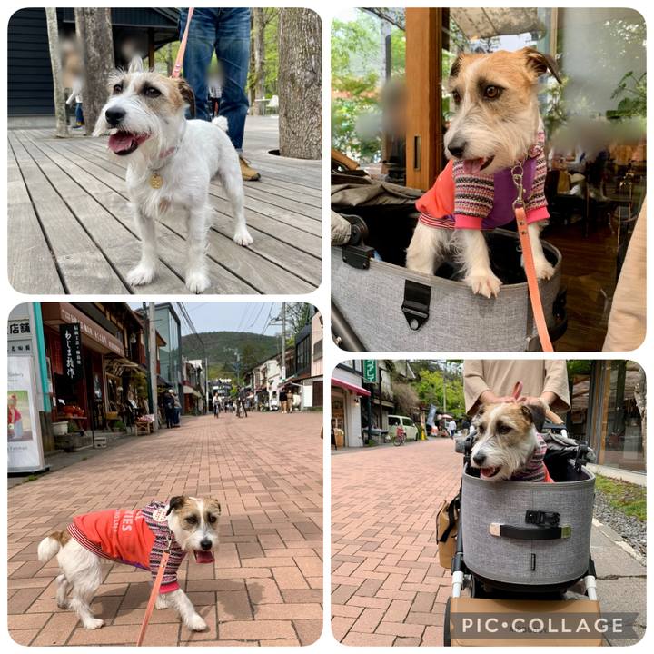 E66ccb28 340f 474c 8d4f ebed3bd703fa 1652105357879