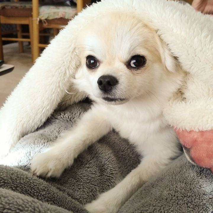 E66cd0ac 80ed 41aa a907 59cb431f4fbf 1673148244269