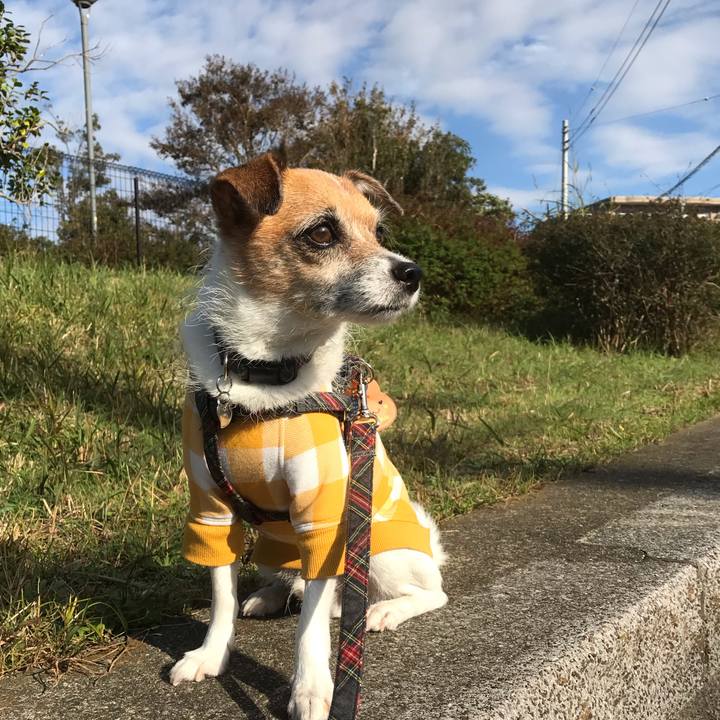 E66ce297 5b3f 4c36 9f53 4ba030bbf806 1542155570134