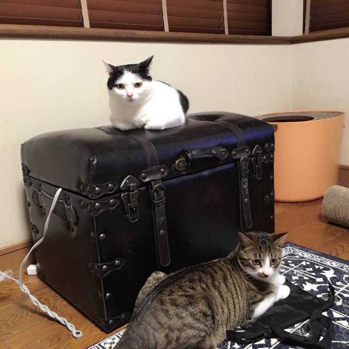 E66d2e13 5590 423c 9691 a0476becf9ce 1521978100952