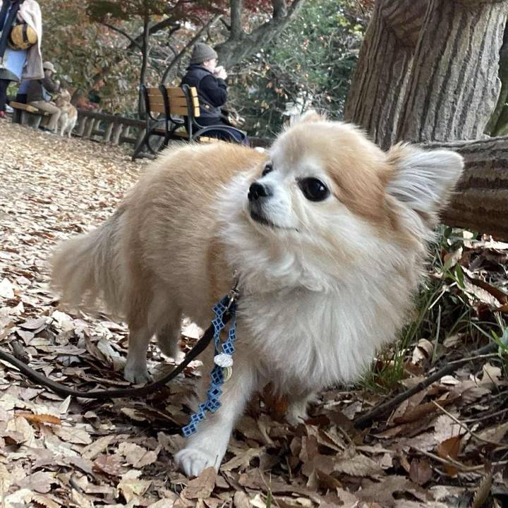 E66d3448 89cb 4d55 a4b8 653ae78976ed 1764075958953