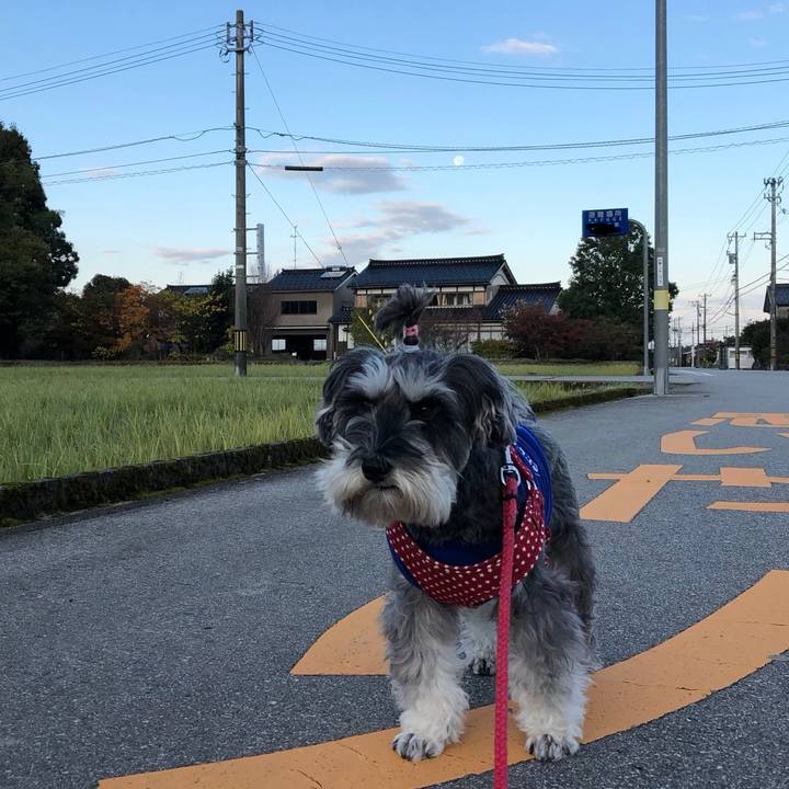 E66d357f bd51 4d23 aa70 c8df14e09af6 1543133549679