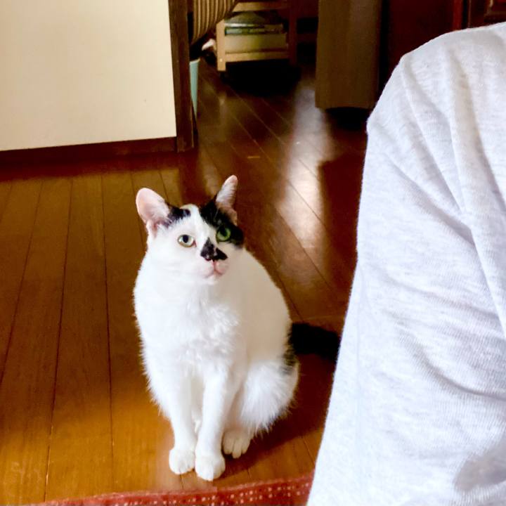 E66d3b08 d275 4f0b b135 7539e699217a 1757818030512