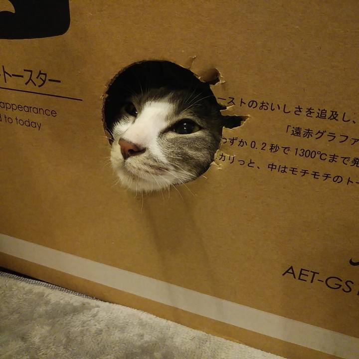 E66d3b8b 54df 4dca 9d72 bdbd0aec2afa 1589550776801