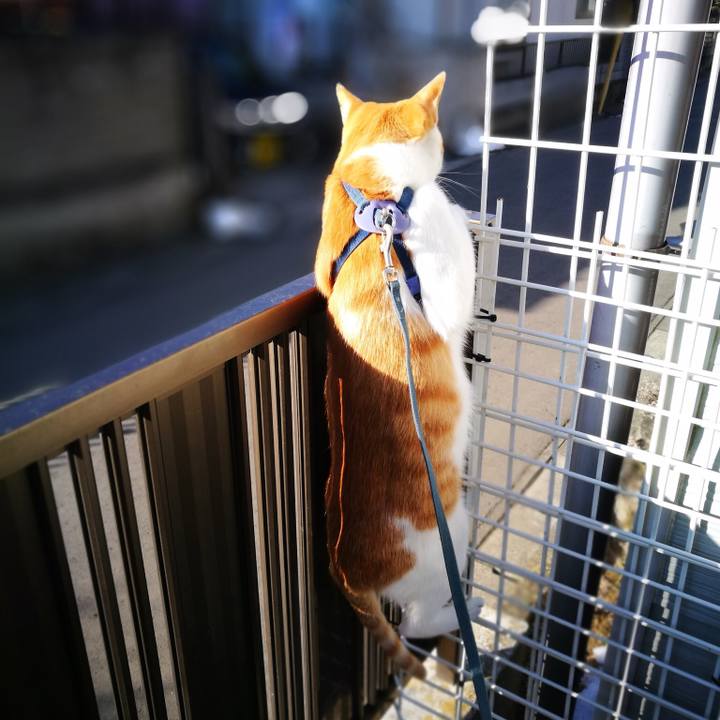 E66d47a8 1a73 4cff 8983 aec87eeef0f0 1517641547746