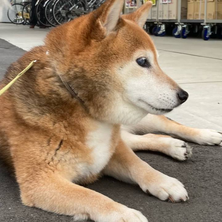 E66d89b0 344b 4491 95ac 6c44d658cae2 1685449214944