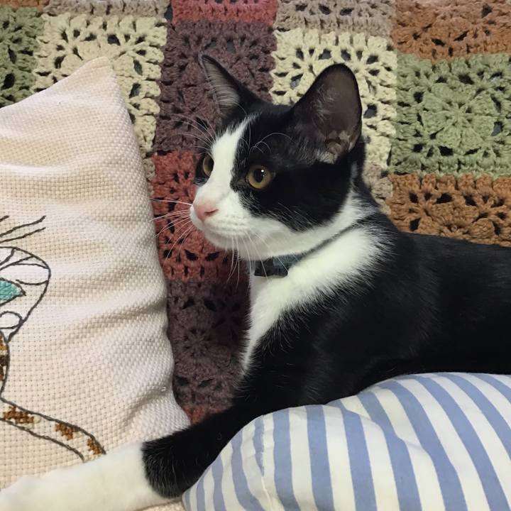 E66dafaa 7985 4c5d ac57 10f0c6aa3980 1632036974111