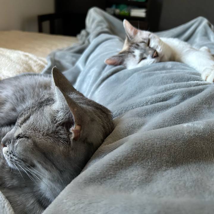 E66de210 a3b3 4382 9a25 7cbb3874a34a 1698447545524