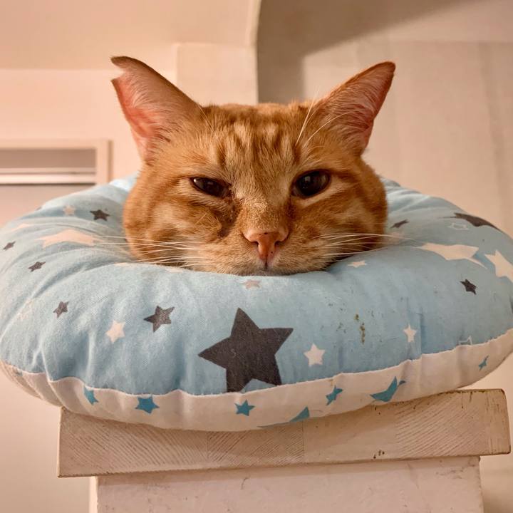 E66e1c84 27a5 437b aa52 195d9cf801d4 1621671054087