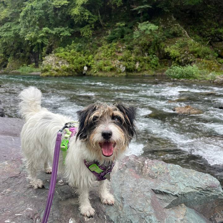 E66e2daa 0fd2 4d0b a763 0c27e4069b37 1757901883337