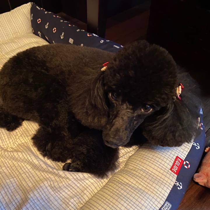 E66e4273 7f7c 4984 94a3 299faa6f0252 1599029763374