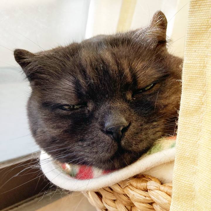 E66e7348 b447 4191 8f6a e4751ce29930 1615740507734