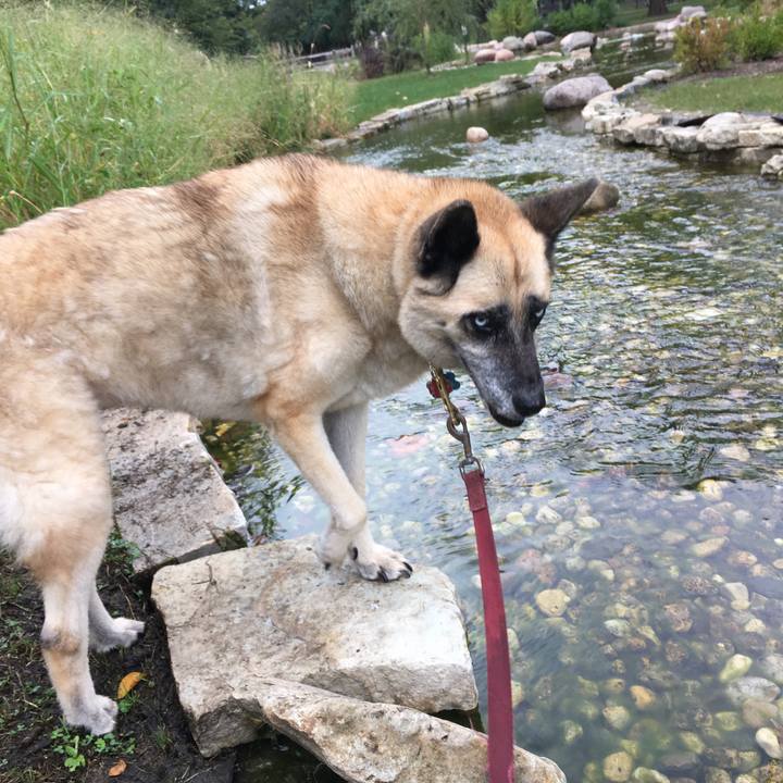 E66e88a9 477e 4335 999a dd206e6b4fcf 1537839538995