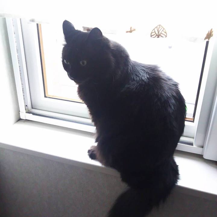 E66e97bf 7a6c 4e30 92c7 da0897d67492 1522722808583