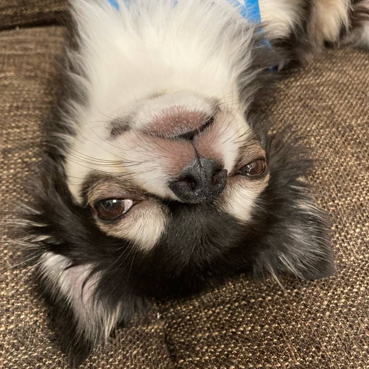 E66f3014 0bc8 437a 8802 1a999e7945f4 1695566877619