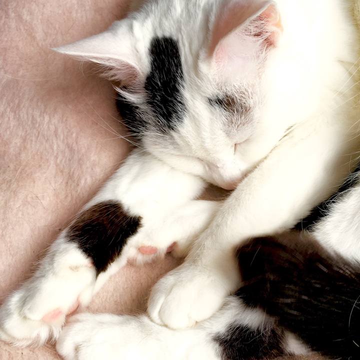 E66f4924 d4ab 4005 910e 02829d751321 1561865360876