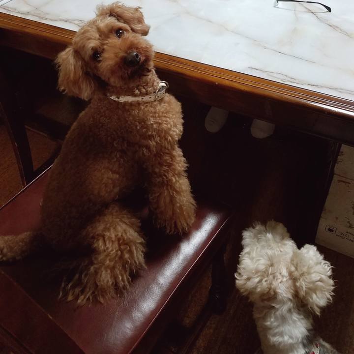 E66f5ccf 16d9 4e77 8177 2ca0c75d3063 1564144848355