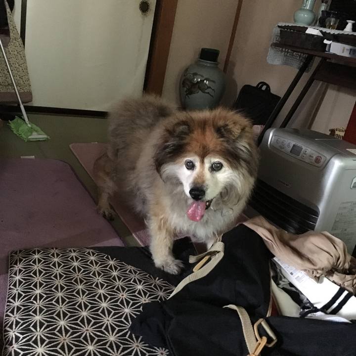 E66f64ad a4e0 488f a5d4 1c589ce34a60 1581296633953