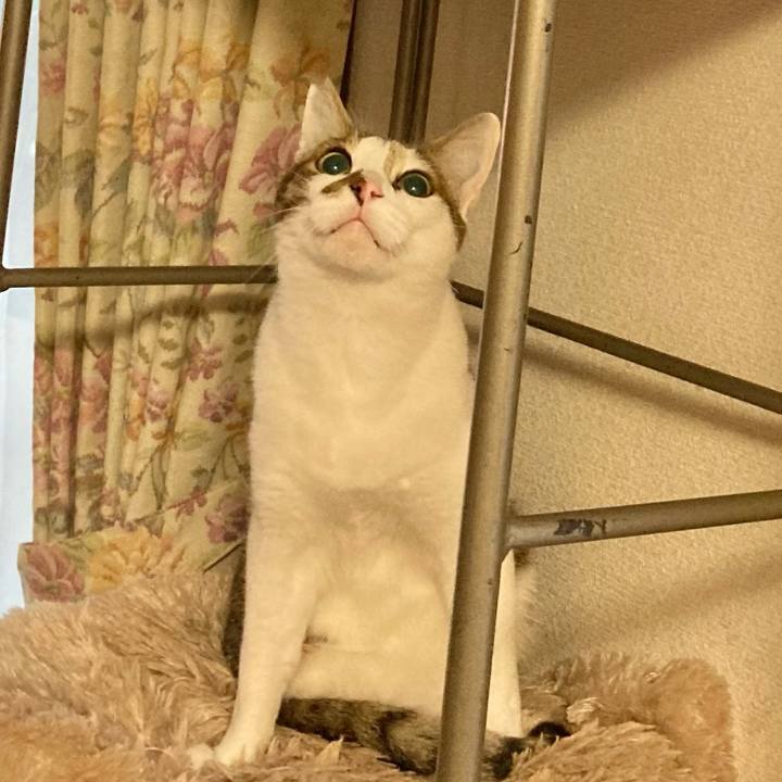 E66f7642 a370 4fb8 ab07 36785c42ef5b 1617838343459