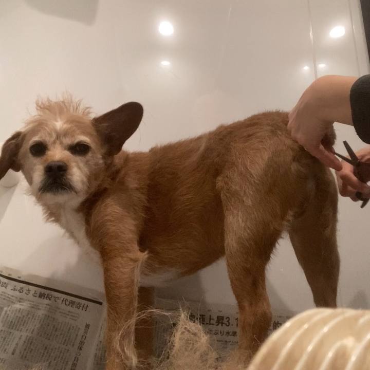 E66f79e2 ec07 4680 8c09 531b6cf39347 1706245506282