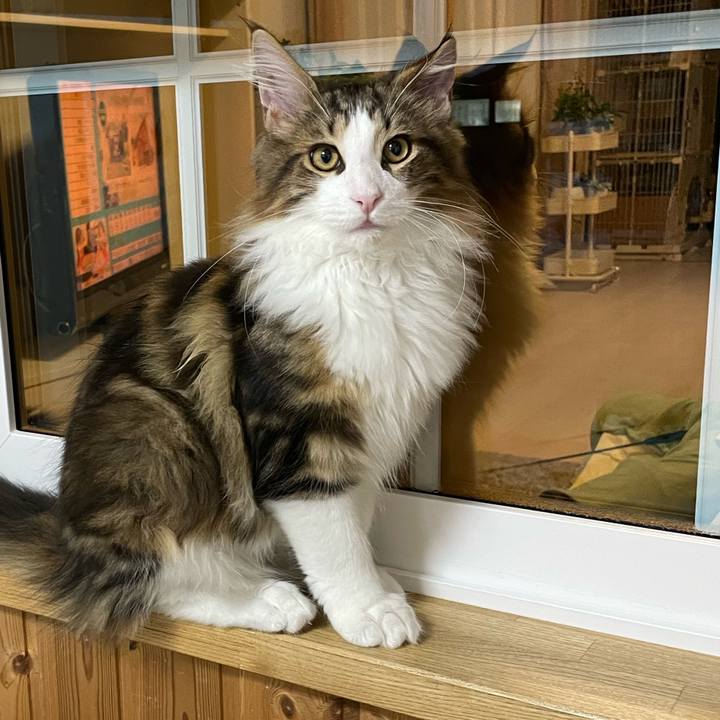 E66f7d0a 8490 4280 b295 e9b8b312c714 1636969603281