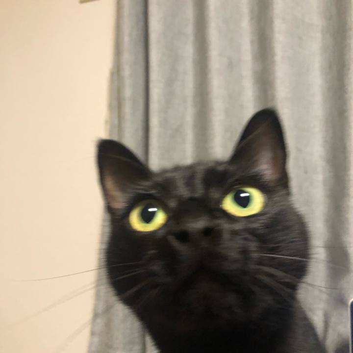 E66f8962 6ee0 4cc7 adb3 35211a48a9ec 1626308193242