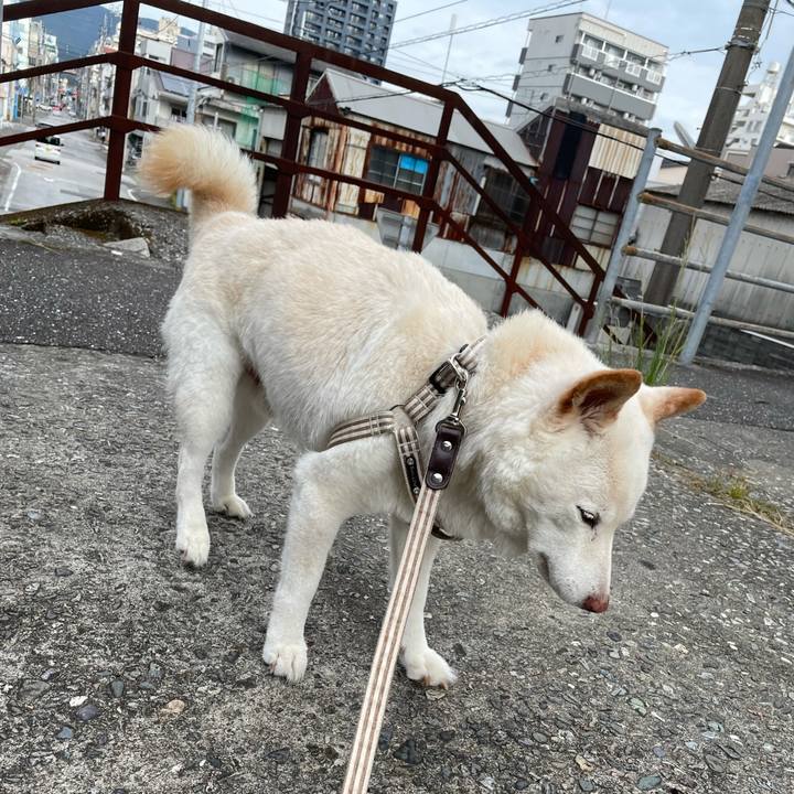 E66fb4dc 2c30 4998 89ec ab346129c405 1634080664236