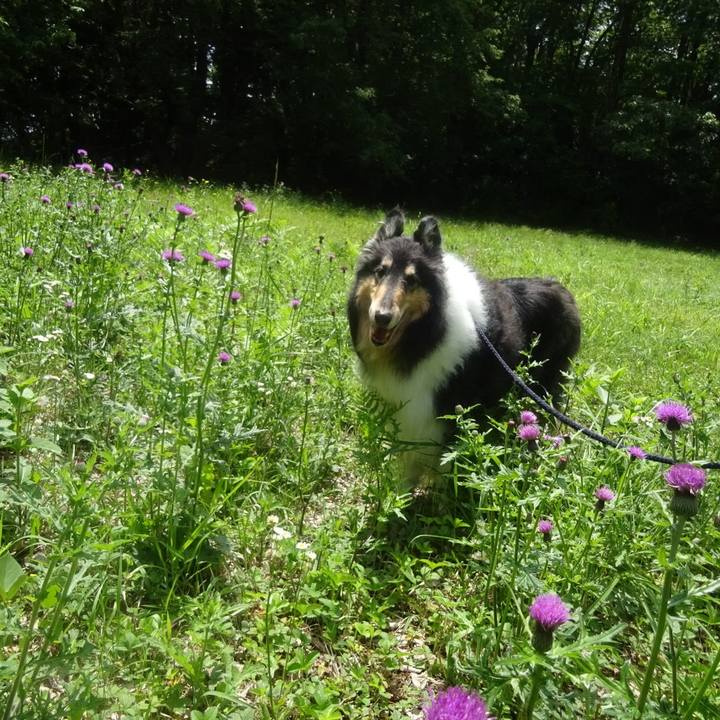 E66fdaee ea38 48b8 953d 4618b73a4c7a 1590328268714