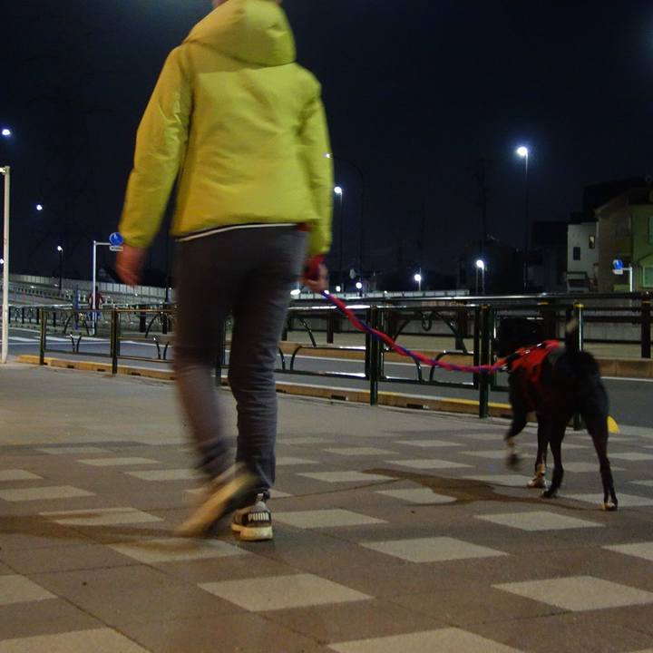 E66fe1b9 8b05 404d 8136 0a9b2052c1ae 1585996666449