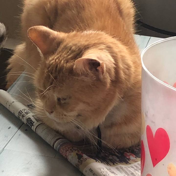 E66ff56b 5aee 4cd6 af39 18d60ad14404 1562125014969