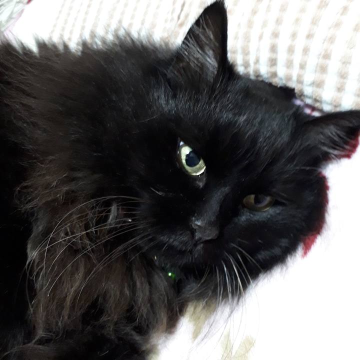 E6703723 c9ae 41fd 9089 75fd0875fabe 1524139349771